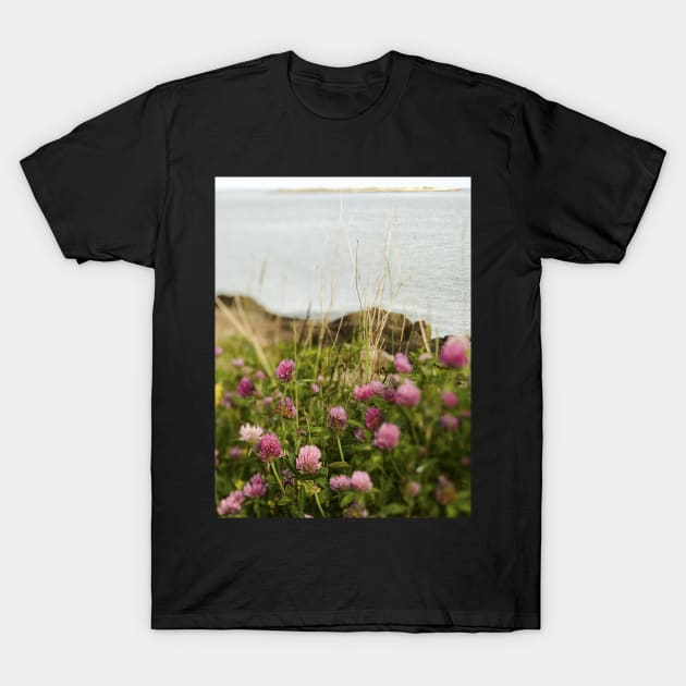 Clover By the Sea T-Shirt by oliviastclaire